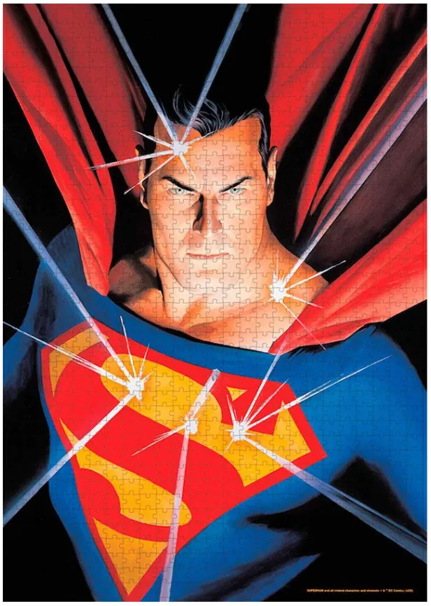 DC Universe Superman S