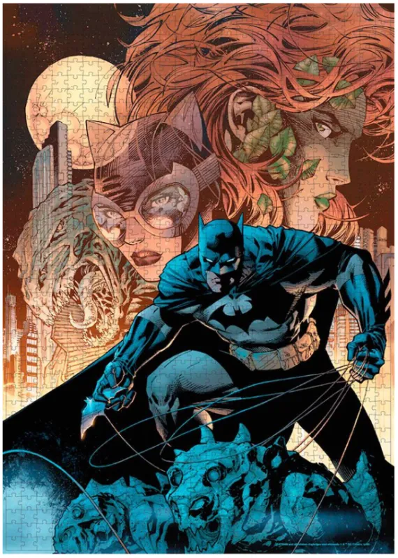 DC Universe Batman Catwoman