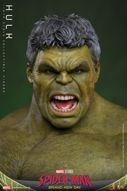 @ HULK - Marvel Spider-Man Brand New Day 1
