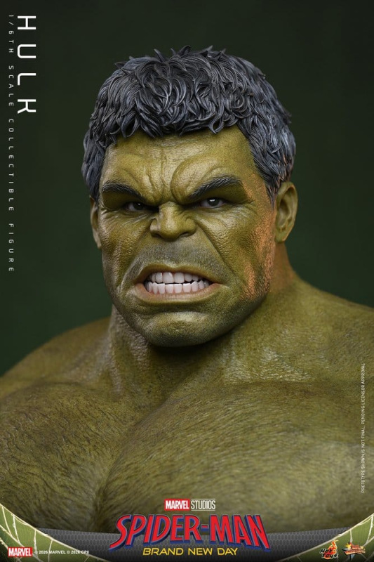 @ HULK - Marvel Spider-Man Brand New Day 2