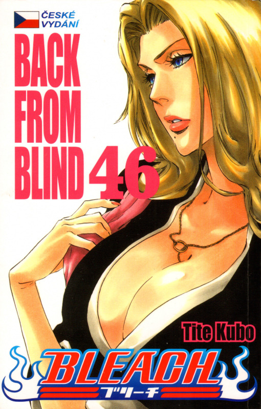 Bleach 46: Back From Blind