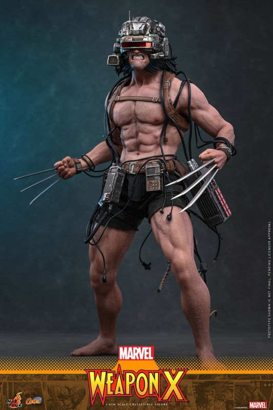 @Marvel ComicWeapon X