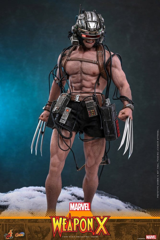 @Marvel ComicWeapon X 1