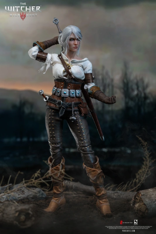 @The Witcher 3: Wild Hunt Ciri of Cintra 1