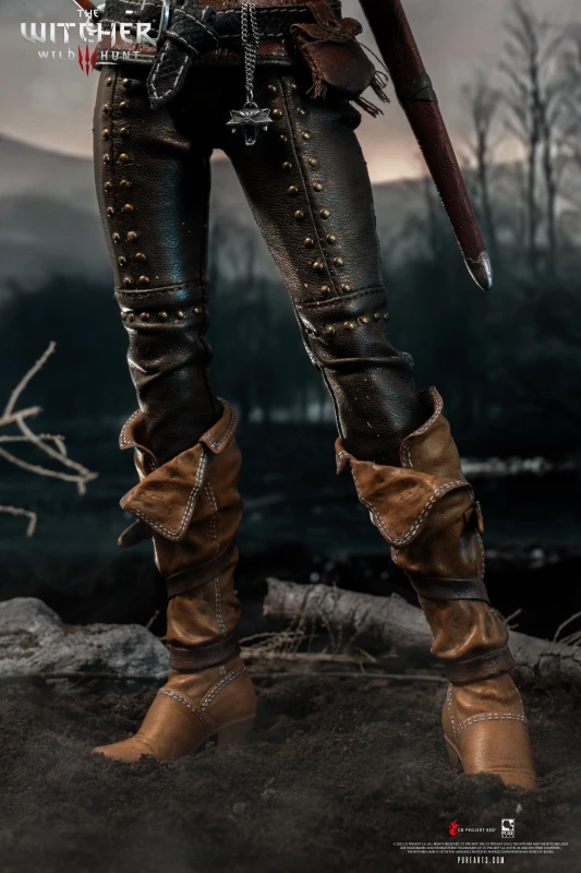 @The Witcher 3: Wild Hunt Ciri of Cintra 2
