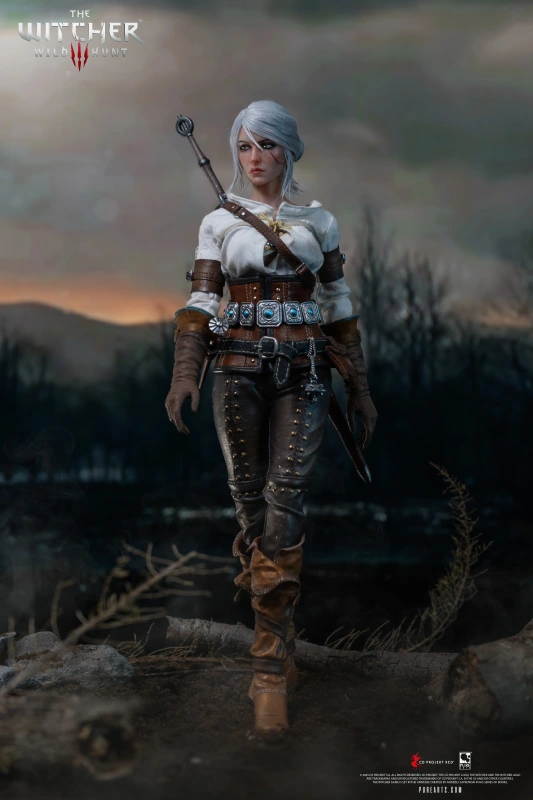 @The Witcher 3: Wild Hunt Ciri of Cintra
