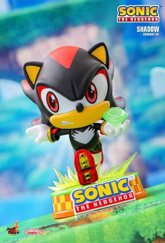 @Sonic the Hedgehog