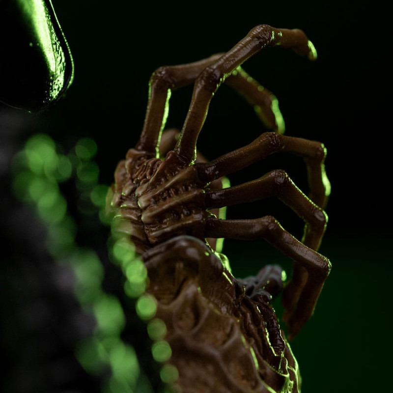 @Alien Big Chap 2