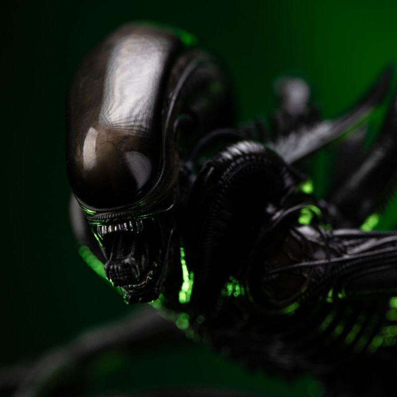 @Alien Big Chap 1
