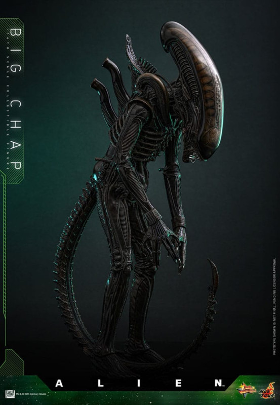 @Alien Big Chap