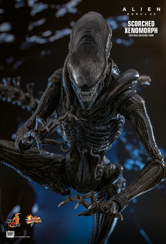 Alien: Romulus Scorched Xenomorph